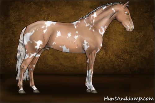 Horse Color:White Spotted Silver Brown Pearl 