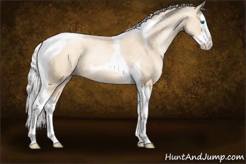 Horse Color:Gold Cream Champagne Pearl Splash Tobiano 