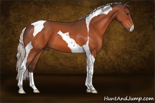 Horse Color:Silver Bay Tobiano 