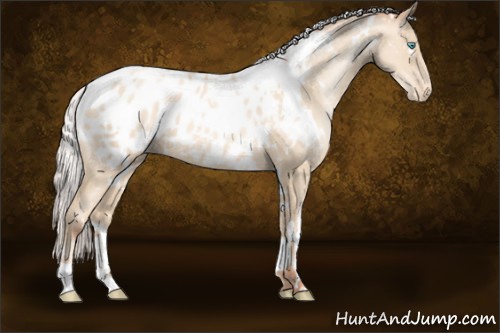 Horse Color:White Spotted Silver Classic Cream Champagne Pearl Appaloosa 