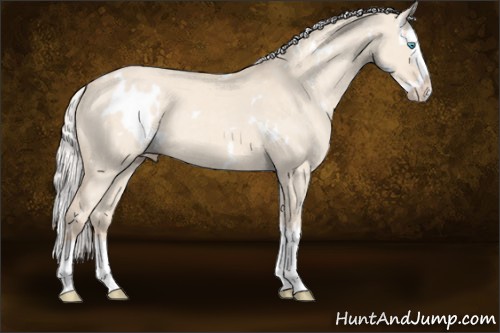Horse Color:White Spotted Silver Perlino Dun Splash 