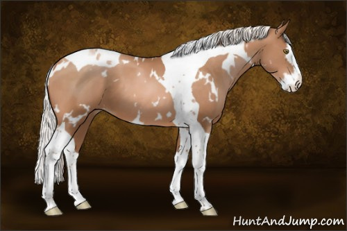 Horse Color:White Spotted Silver Bay Pearl Splash Tobiano 