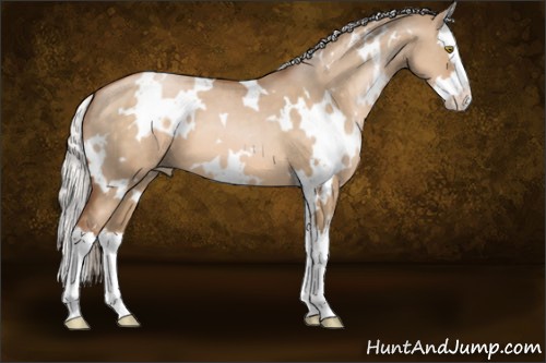 Horse Color:White Spotted Silver Brown Pearl Dun Splash 