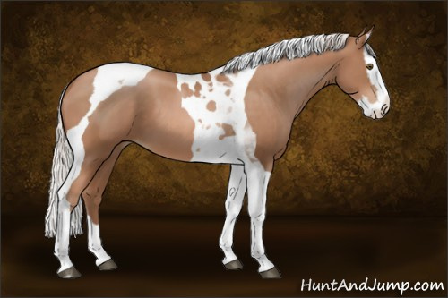Horse Color:Silver Brown Pearl Splash Tobiano 