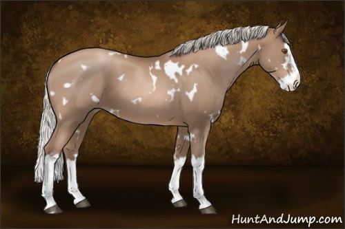 Horse Color:White Spotted Silver Black Pearl Splash 