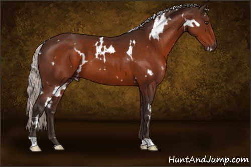 Horse Color:White Spotted Silver Brown 
