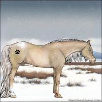 Horse Color:Silver Smoky Black Pearl Appaloosa