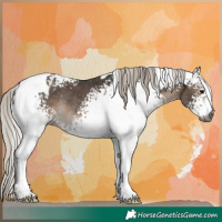 Horse Color:Gray White Spotted Silver Black Tobiano Appaloosa Rabicano