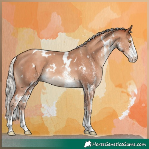 Horse Color:White Spotted Silver Classic Champagne Rabicano 