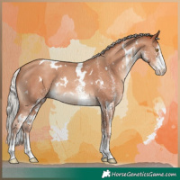 Horse Color:White Spotted Silver Classic Champagne Rabicano