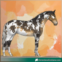 Horse Color:White Spotted Silver Buckskin 