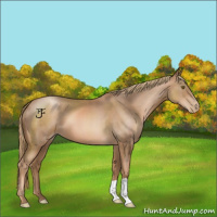Horse Color:Liver Chestnut Pearl 