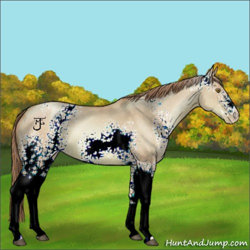 Horse Color:Watercolor White Spotted Liver Red Dun Pearl 