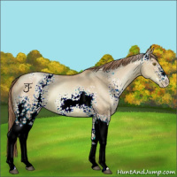 Horse Color:Watercolor White Spotted Liver Red Dun Pearl 