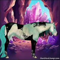 Horse Color:Void Watercolor Classic Champagne Onyx Tobiano Rabicano 