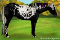 Horse Color:Void Painted Palomino Ice Pearl Sabino Splash Tobiano Blanket 