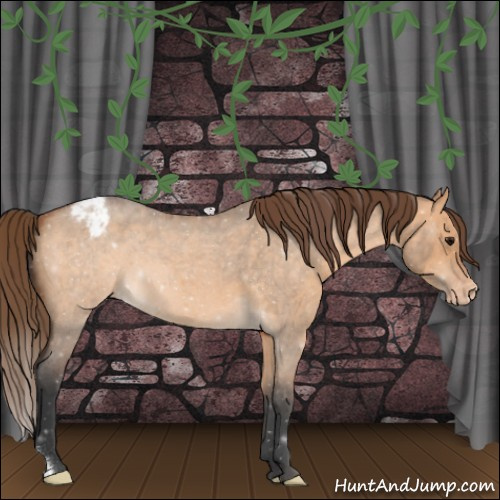 Horse Color:Bay Roan Dun Varnish