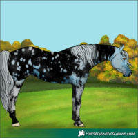 Horse Color:ERROR: UNKNOWN ANOMALY