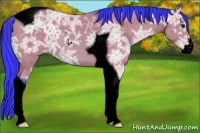 Horse Color:Void Watercolor Bay Ice Sabino Tobiano Varnish 