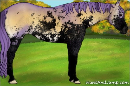 Horse Color:Void Watercolor Grullo Onyx Sabino Varnish