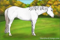Horse Color:White Spotted Black Pearl Splash Tobiano 