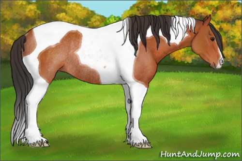 Horse Color:Brown Tobiano Rabicano 