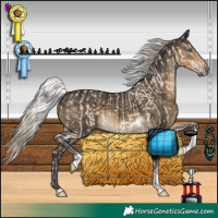 Horse Color:Silver Smoky Creme Tobiano  and Silver Smoky Black Tobiano 