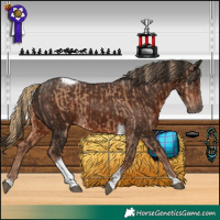 Horse Color:Red Dun Tobiano  and Liver Chestnut Tobiano 