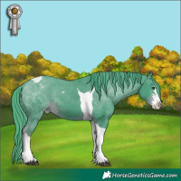 Horse Color:Watercolor Liver Chestnut Sabino Tobiano Appaloosa 