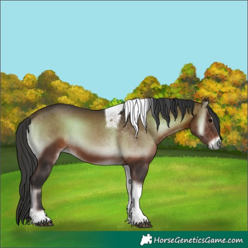 Horse Color:Brown Onyx Tobiano 
