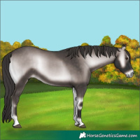 Horse Color:Platinum Liver Red Onyx 