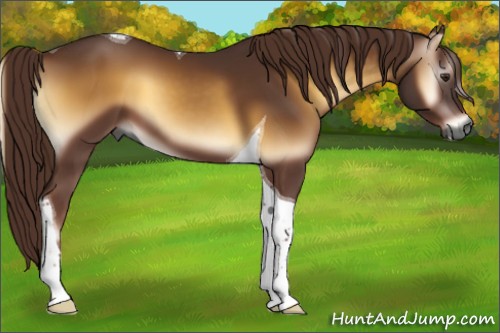 Horse Color:Gray Red Onyx Tobiano 