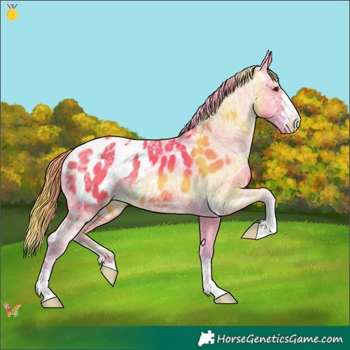 Horse Color:Watercolor Liver Chestnut Ice Appaloosa 