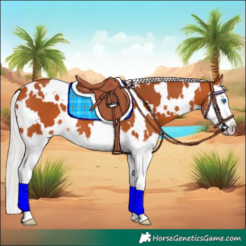 Horse Color:White Spotted Silver Bay Splash 