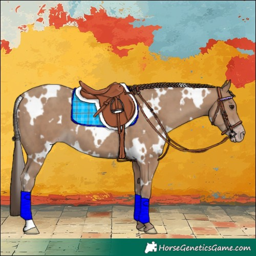 Horse Color:White Spotted Classic Champagne 