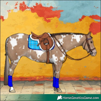 Horse Color:White Spotted Classic Champagne 