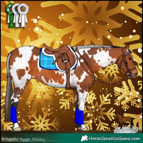 Horse Color:White Spotted Bay 
