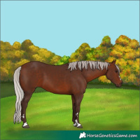Horse Color:Silver Brown 