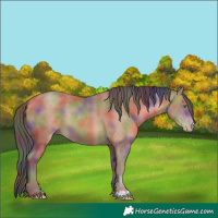 Horse Color:Nacre Sable Champagne 