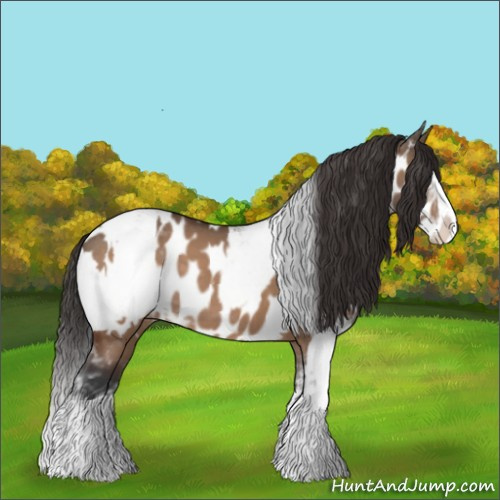 Horse Color:Brown Sabino Splash Appaloosa and Brown Dun Sabino Splash Appaloosa