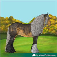 Horse Color:Silver Buckskin 