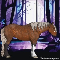 Horse Color:Silver Buckskin 