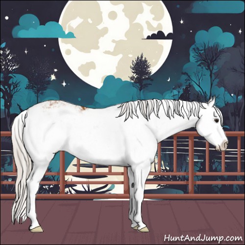 Horse Color:Silver Buckskin Sabino Splash 