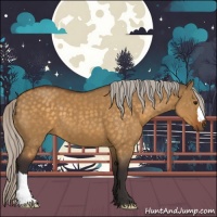 Horse Color:Silver Buckskin Dun 