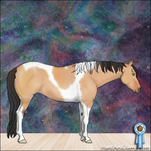 Horse Color:Bay Dun Tobiano 
