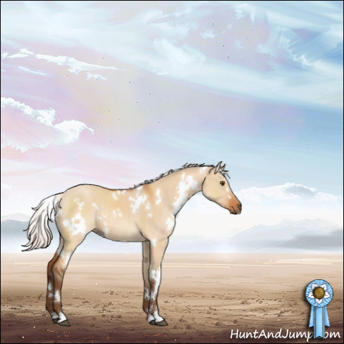 Horse Color:White Spotted Silver Bay Dun Sabino Rabicano 