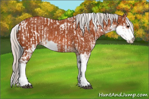 Horse Color:Bay Sabino Rabicano and Silver Bay Sabino Rabicano
