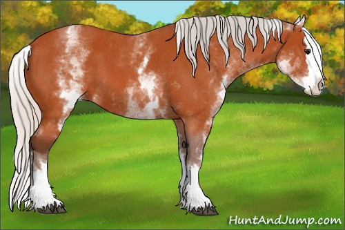 Horse Color:White Spotted Silver Bay Splash 