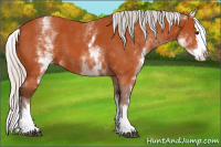 Horse Color:White Spotted Silver Bay Splash 