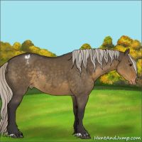 Horse Color:Silver Smoky Grullo Appaloosa Rabicano